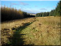 Footpath Around Priest Hill