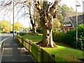 Cricklade Road and McDonald