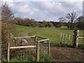 In the Bolesbridge Water valley