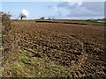 Field near Hele