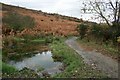 Pond, Eston Bank