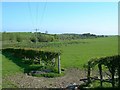 Farmland view