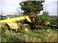 Moving the fallen tree