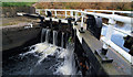 Sheffield and Tinsley Canal lock gates #2