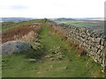 NY7467 : Hadrian's Wall west of the trig point on Winshield Crags by Mike Quinn