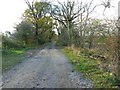 Gibbonhill farm road