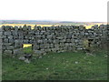 NY7267 : Double sheep holes in Hadrian's Wall west of Milecastle 41 by Mike Quinn