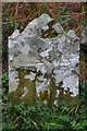 NM5661 : Gravestone near the Cross Slab by Mark Anderson