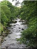 SD6996 : River Rawthey by Alison Rawson