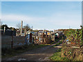 Allotments at North Skelton