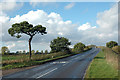 Coxhill Road, near Beighton, Norfolk