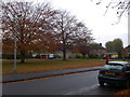 Houses round green space, Nightingale Avenue