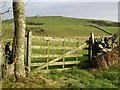 Wooden field gate, looking towards Brownie Hill