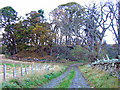 Castle Hill Motte, Durris