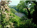 River Swale near Brompton-on-Swale