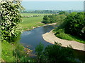 River Swale near Brompton-on-Swale