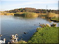 Calais Muir Wood and Pond