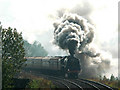 71000 Duke of Gloucester at Langcliffe