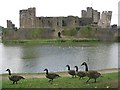 ST1587 : Caerphilly Castle & visitors by Robin Drayton