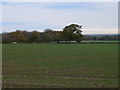 Farmland near Bodelwyddan Castle Estate