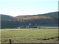 Hillbrae in Autumn