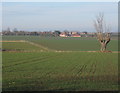 View towards Combs from Little London lane