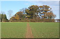 Footpath near Battisford