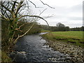 River Ribble North of Settle