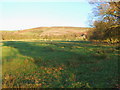 Farmland near Adstone