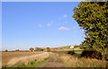 Farm lane to Oxton Grange