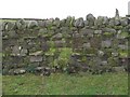 NY6961 : (Blocked up) sheephole near Lynnshield by Mike Quinn