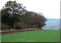 Shropshire Farmland near Middleton Baggot