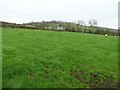 Annaghsallagh Townland