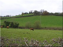 H6845 : Corclare Townland by Kenneth  Allen