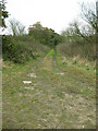 Track leading down to Holland Brook