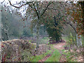 Bridleway to Lower Faintree, Shropshire