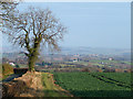 Shropshire Farmland near Middleton Scriven