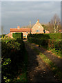 Driveway with black cat