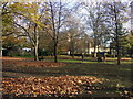 Exercising the dogs, Highbury Fields