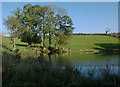 Pond near Daniel Hayes Farm