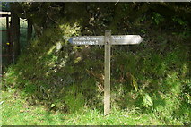 SS8528 : Badlake Moor Cross by Nigel Mole