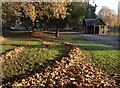 Shelter and piles of leaves, Battersea Park