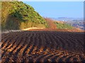 Ploughed farmland and conifer plantation near Cleeve Common