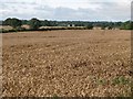 Arable land near Coldside Farm