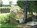 Water pump and trough at Standing Stone Farm