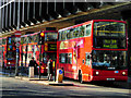 Euston Bus Station