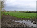 Craveernagh Townland