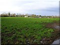 Maghery Townland