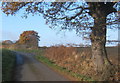 Looking up Cosford Road