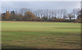 Field and line of trees near Aldham Priory